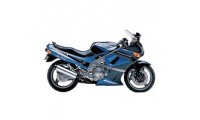 Affordable Kawasaki ZZR600 Fairings Australia