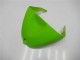 2005-2006 Kawasaki ZX6R Motorcycle Fairings - Green Glossy Black Elf Australia