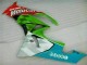 2009-2012 Kawasaki ZX6R Motorcycle Fairings - Green White Red Black Blue Motocard Australia