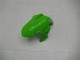 2013-2024 Kawasaki Ninja 300 EX300R Motorcycle Fairings - White Green Black Australia