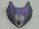 1996-2007 Suzuki GSXR 1300 Hayabusa Motorcycle Fairings - Chameleon Grey Dazz Pearl Purple Australia