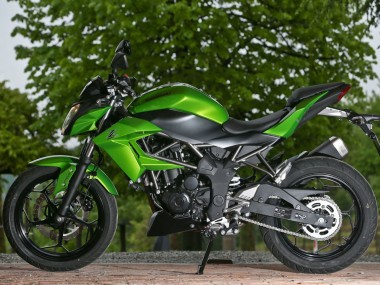 Affordable 2015-2016 Kawasaki Z250/Z300 Motorcycle Fairings - Green Matte Black Australia