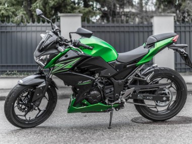 Affordable 2015-2016 Kawasaki Z250/Z300 Motorcycle Fairing Kits - Green Matte Black Australia