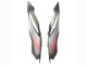 2012-2017 Yamaha MT07/FZ07 Motorcycle Fairings - Grey Red Australia