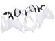 2020-2024 Ducati Panigale V2 Motorcycle Fairings - Unpainted Australia