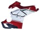 2020-2021 Ducati Panigale V4 V4S Motorcycle Fairings - White Red Green Matte Black Australia