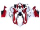 2018-2019 Ducati Panigale V4 V4S Motorcycle Fairings - White Red Green Glossy Black Australia