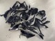 2023-2024 BMW S1000RR Motorcycle Fairings - Glossy Black Carbon Fiber Australia