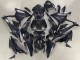 2023-2024 BMW S1000RR Motorcycle Fairings - Glossy Black Carbon Fiber Australia
