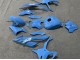 2023-2024 BMW S1000RR Motorcycle Fairings - Glossy Blue Australia
