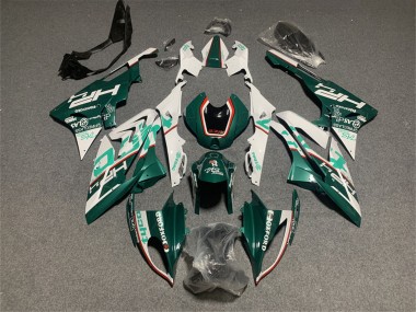 Affordable 2017-2018 BMW S1000RR Motorcycle Fairings - White Green Australia