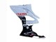 2015-2016 BMW S1000RR Motorcycle Fairings - White Glossy Black Fiamm Australia