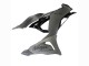 2023-2025 Kawasaki ZX6R Motorcycle Fairings - Grey Ninja Australia