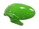 2023-2025 Kawasaki ZX6R Motorcycle Fairings - Green Black Australia