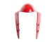 2015-2020 Ducati 1299 Motorcycle Fairings - Red Australia