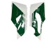 2015-2020 Ducati 1299 Motorcycle Fairings - White Red Green Matte Black Australia