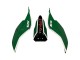 2015-2020 Ducati 959/1299 Motorcycle Fairings - White Red Green Valsir Fiamm 7 Australia