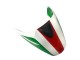 2008-2012 Ducati Monster 696 796 1100 1100S Motorcycle Fairing - White Red Green Australia