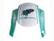 2005-2006 Honda CBR600RR Motorcycle Fairings - Light Green White Glossy Black Joe Rocket Australia