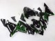 2004-2005 Kawasaki ZX10R Motorcycle Fairings - Black with Green Flame Ninja Australia
