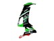 2008-2010 Kawasaki ZX10R Motorcycle Fairings - Green White Red Black Monster Elf 66 Australia