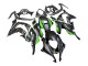 2016-2020 Kawasaki ZX10R Motorcycle Fairings - Matte Black Green White Ninja Australia