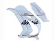 2016-2020 Kawasaki ZX10R Motorcycle Fairings - White Gold Black Australia