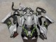 2021-2025 Kawasaki ZX10R Motorcycle Fairings - Grey Matte Black Green White Elf Snow Monster Australia