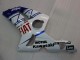 2003-2004 Kawasaki ZX6R Motorcycle Fairings - White Blue Red Fiat Australia