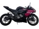 2019-2022 Kawasaki ZX6R Motorcycle Fairings - Glossy Black Pink Ninja Australia