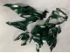 2019-2022 Kawasaki ZX6R Motorcycle Fairings - Dark Green Australia