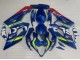 2005-2006 Suzuki GSXR 1000 Motorcycle Fairings - Blue Yellow Red Motul Ecstar Australia