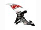 2002-2003 Yamaha YZF 1000 R1 Motorcycle Fairings - White Red Black Castrol Australia