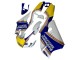 1994-1996 Honda NSR250 Motorcycle Fairings - White Blue Yellow Gold Rothmans Australia