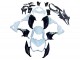 2013-2018 Kawasaki Z800 Motorcycle Fairings - White Glossy Black Green Australia
