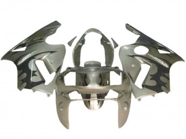 Affordable 2002-2006 Kawasaki ZX12R Motorcycle Fairings - Silver Black Australia