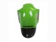 2002-2006 Kawasaki ZX12R Motorcycle Fairing - Green Glossy Black Elf Touch4 Monster Australia