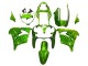 2000-2001 Kawasaki ZX9R Motorcycle Fairings - Green Flame Australia