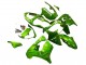 2000-2001 Kawasaki ZX9R Motorcycle Fairings - Green Flame Australia