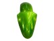 2000-2001 Kawasaki ZX9R Motorcycle Fairings - Green Flame Australia