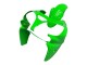 2000-2001 Kawasaki ZX9R Motorcycle Fairings - Green Australia
