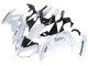 2012-2016 Kawasaki EX650 Motorcycle Fairings - White Black Australia